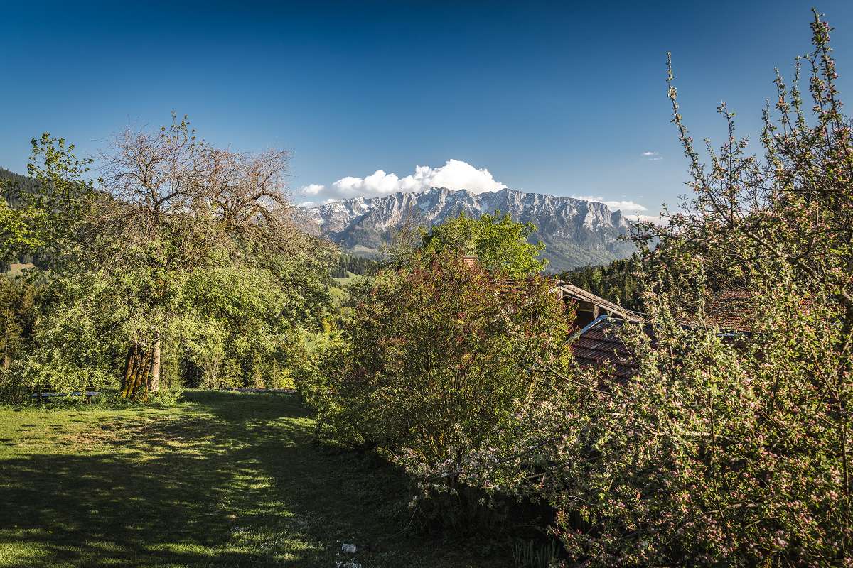 Ferienwohnung Wilder Kaiser in Sachrang (62)